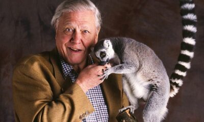 Sony BBC Earth Celebrates Sir David Attenborough