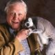 Sony BBC Earth Celebrates Sir David Attenborough