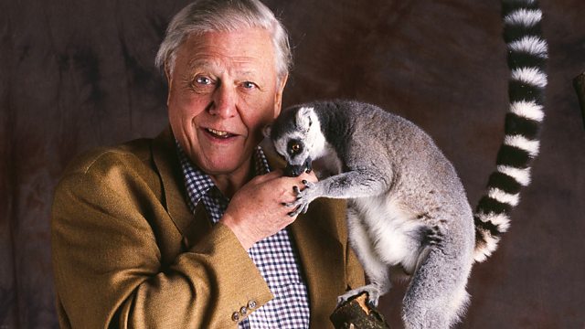 Sony BBC Earth Celebrates Sir David Attenborough