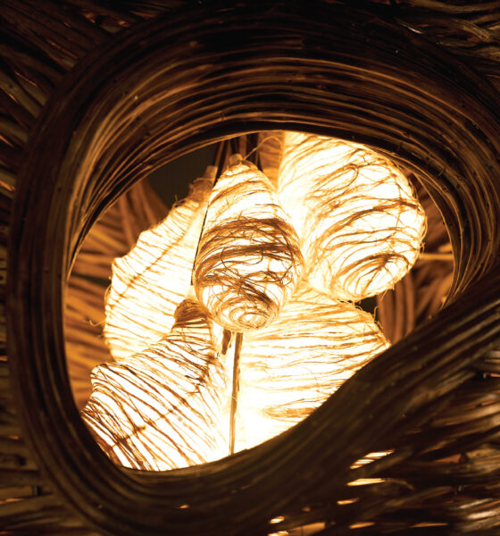 Oorjaa Unveils Spira