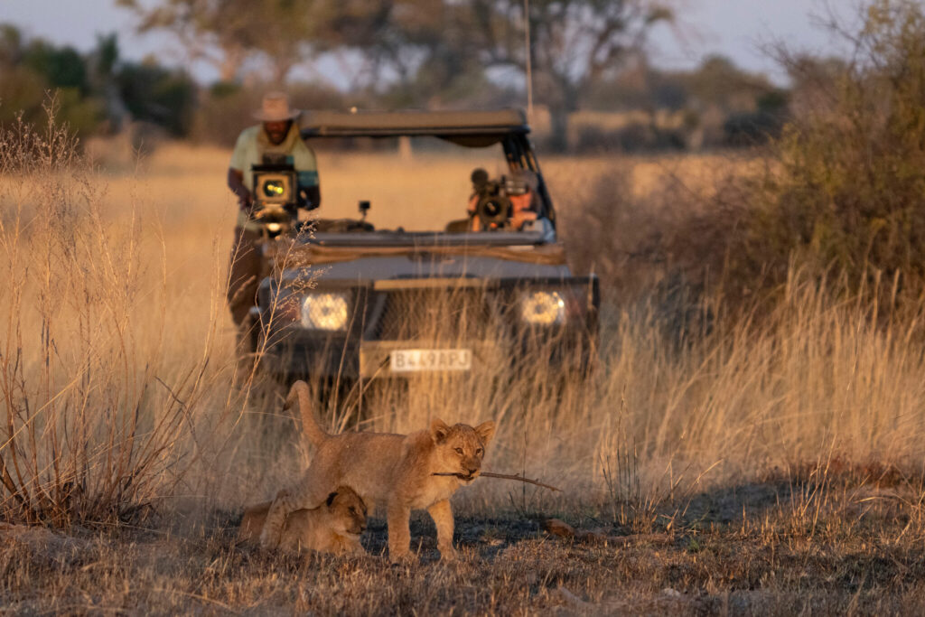 Sony BBC Earth brings an action-packed November lineup