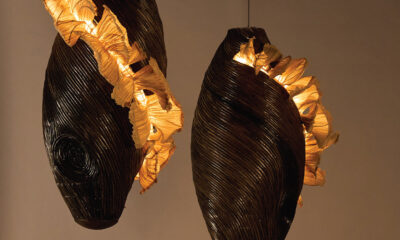 Oorjaa Unveils “Fantastic Fungi