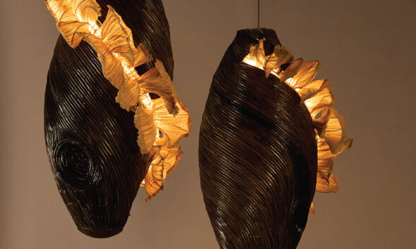 Oorjaa Unveils “Fantastic Fungi