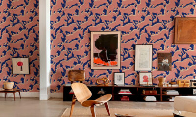 Bring Home the Dynamic Energy of Coordonné's Galope Wallpapers